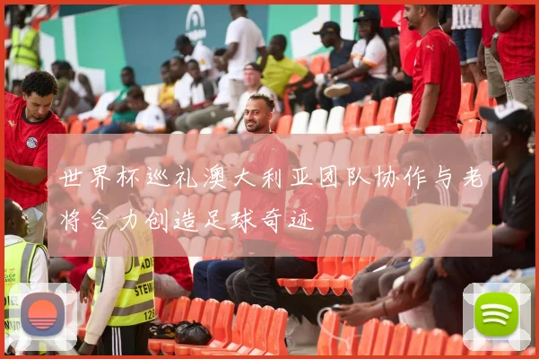 世界杯巡礼澳大利亚团队协作与老将合力创造足球奇迹