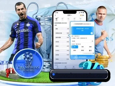 MK体育官网入口 APP